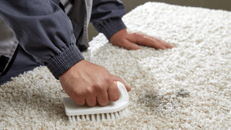 Professional Rug Cleaning The Basin